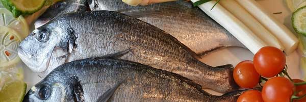 Quality fish suppliers for the home and restaurant industry 1 - About
