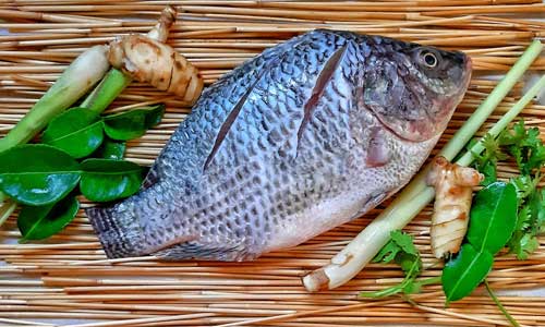 Tasty Fish Recipes Online 2 - Resources